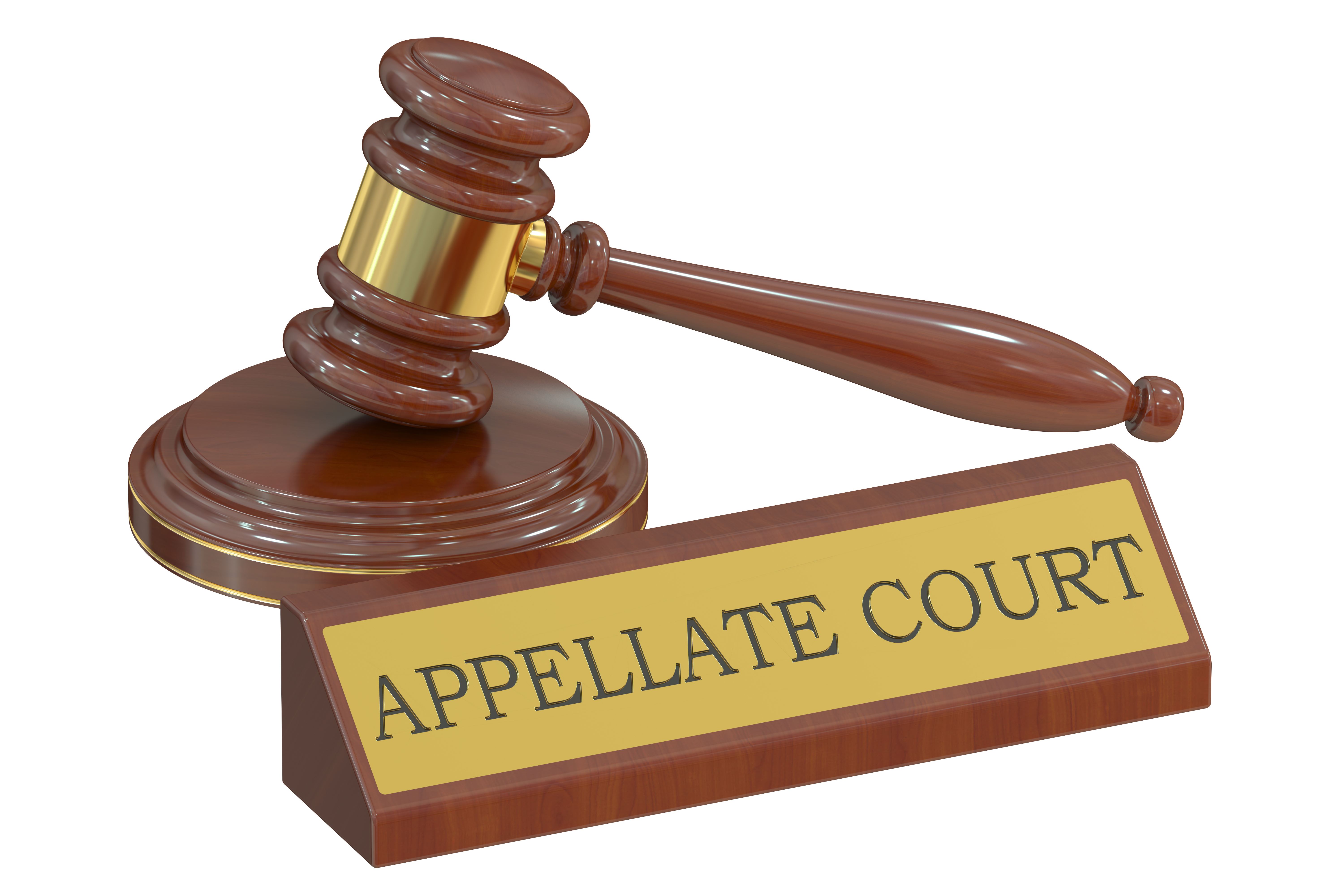 Can I Appeal The Court s Decision 
