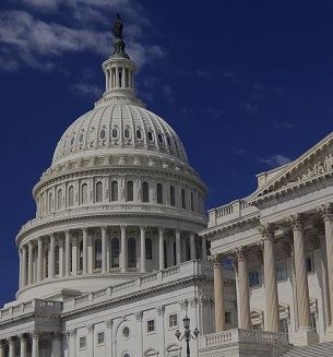 The US Capitol Building