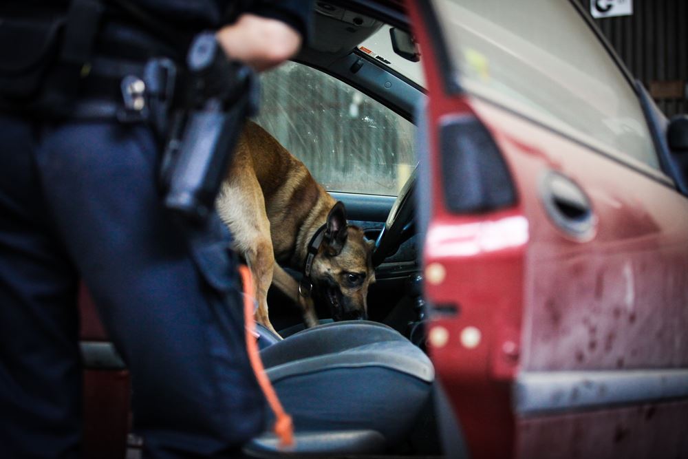 Can Police Search My Car Without a Warrant?